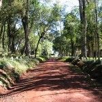 Parque Schwelm Camino