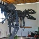Museo Paleontológico de El Chocón